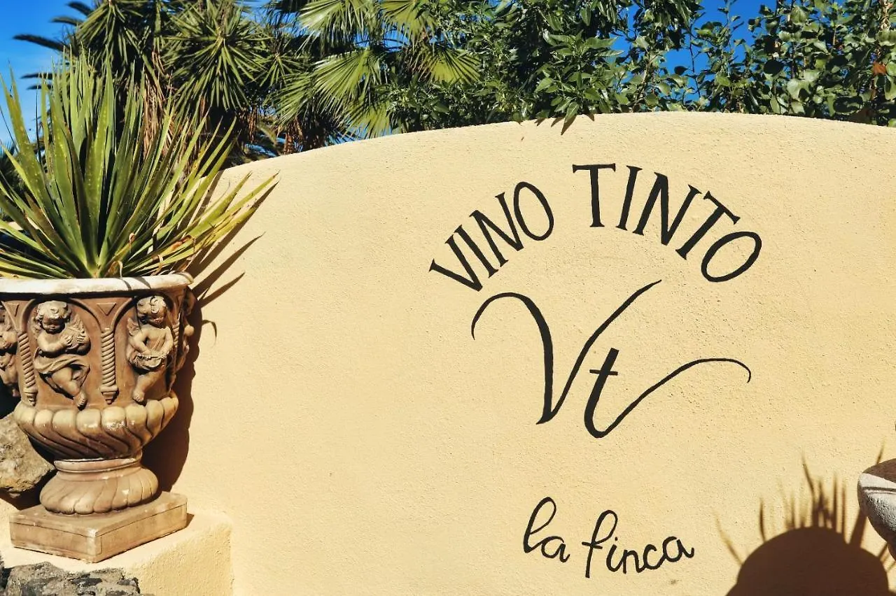 Finca Vino Tinto 1 Icod De Los Vinos 0*,